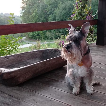 Marzeniec W Beskidzie Niskim Wapienne Buitenkant foto