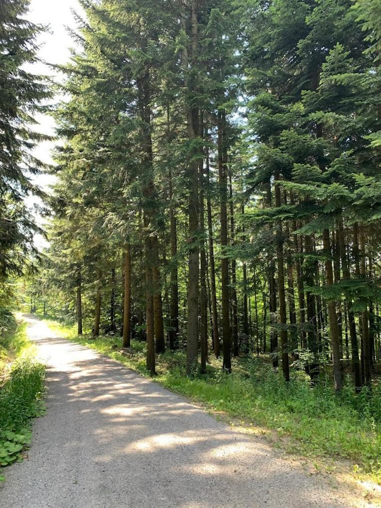 Marzeniec W Beskidzie Niskim Wapienne Buitenkant foto